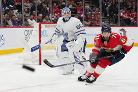 Maple Leafs Panthers Hockey