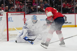 Maple Leafs Panthers Hockey