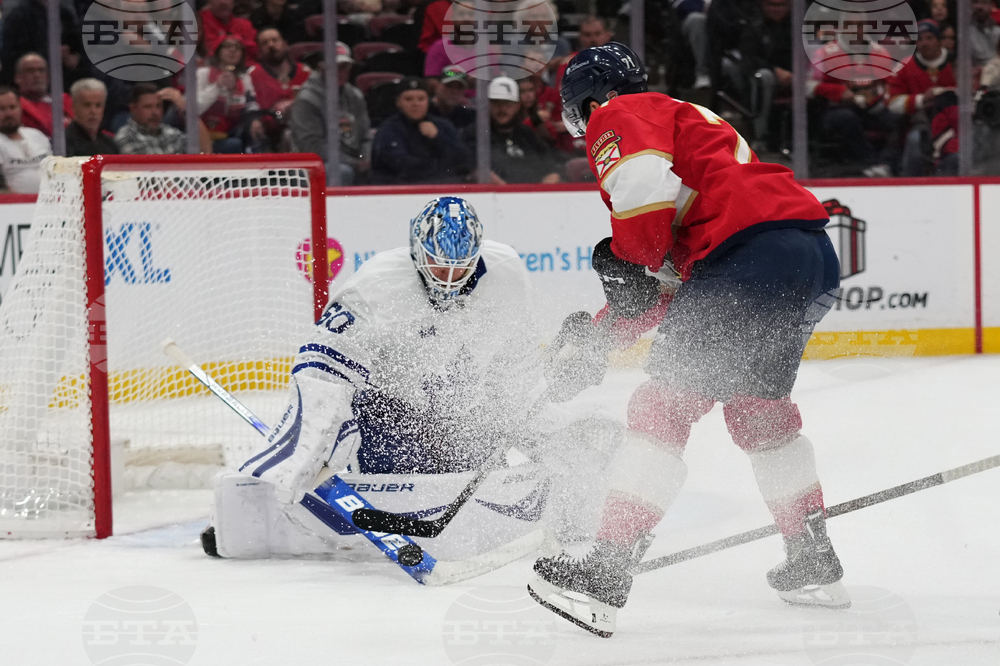 Maple Leafs Panthers Hockey