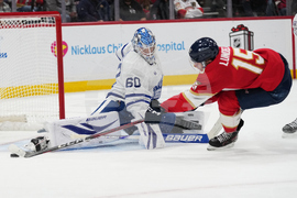 Maple Leafs Panthers Hockey