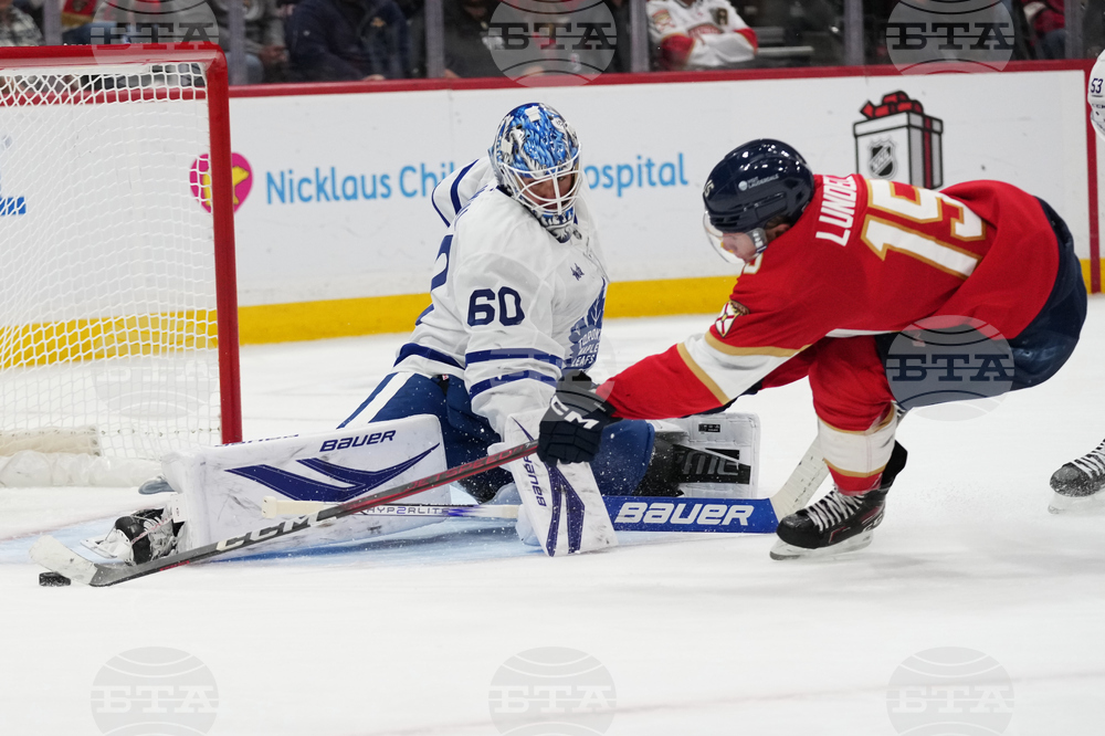 Maple Leafs Panthers Hockey