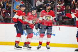 Maple Leafs Panthers Hockey