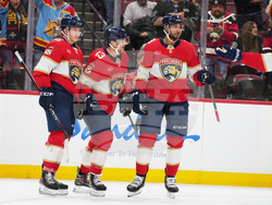 Maple Leafs Panthers Hockey