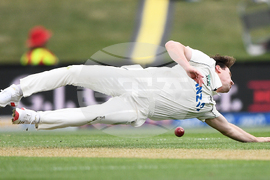 New Zealand West Indies Cricket