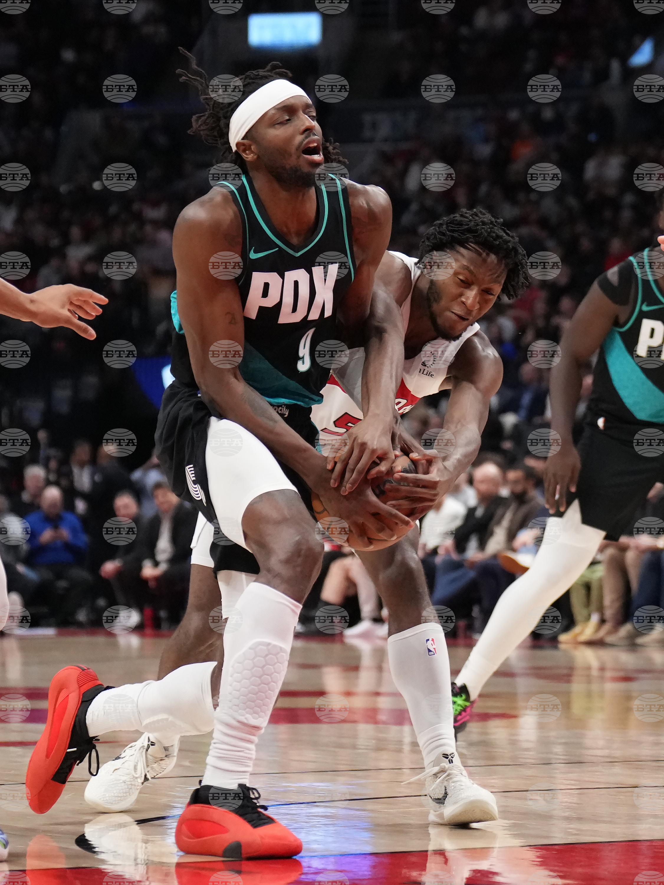 Trail Blazers Raptors Basketball