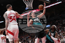 Trail Blazers Raptors Basketball