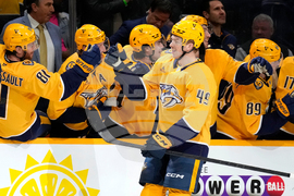 Flames Predators Hockey