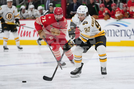 Bruins Red Wings Hockey