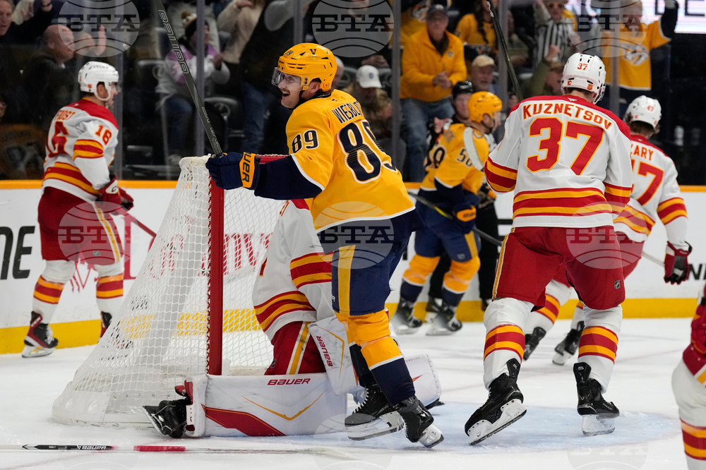 Flames Predators Hockey