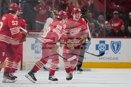 Bruins Red Wings Hockey