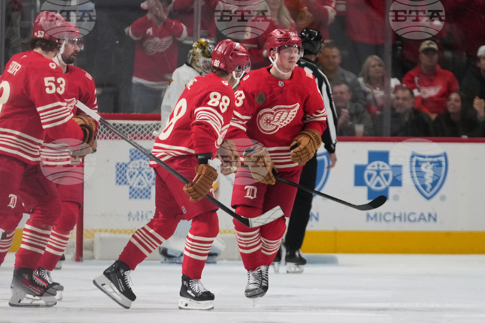 Bruins Red Wings Hockey