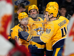 Flames Predators Hockey