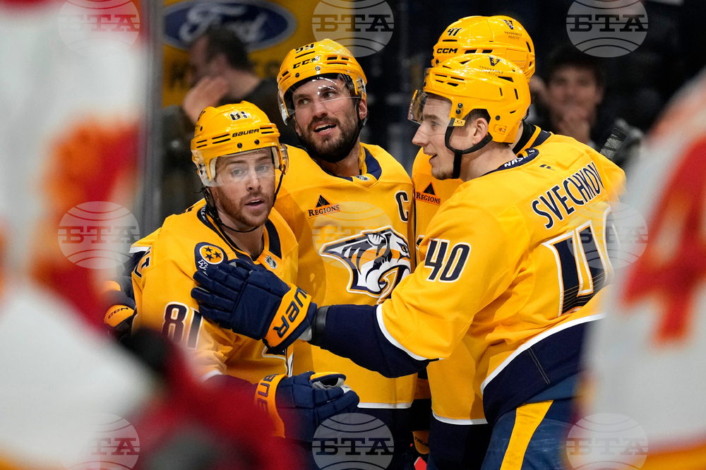 Flames Predators Hockey