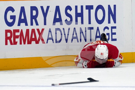 Flames Predators Hockey