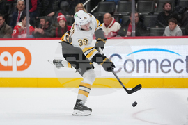 Bruins Red Wings Hockey