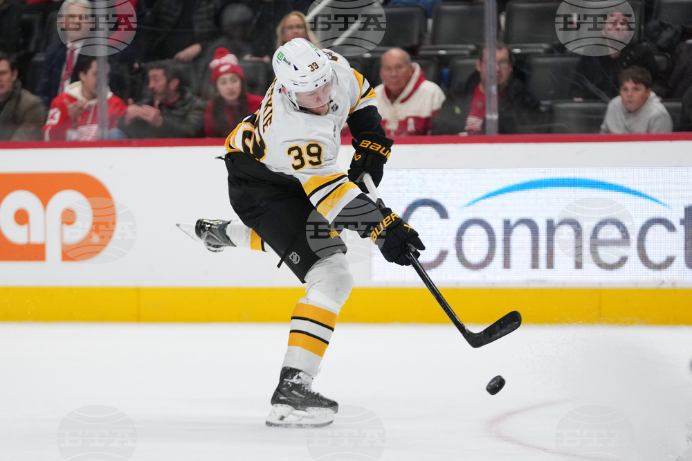 Bruins Red Wings Hockey