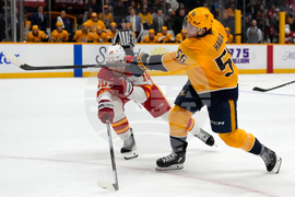 Flames Predators Hockey