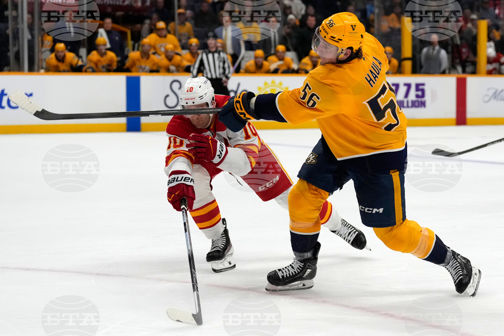 Flames Predators Hockey