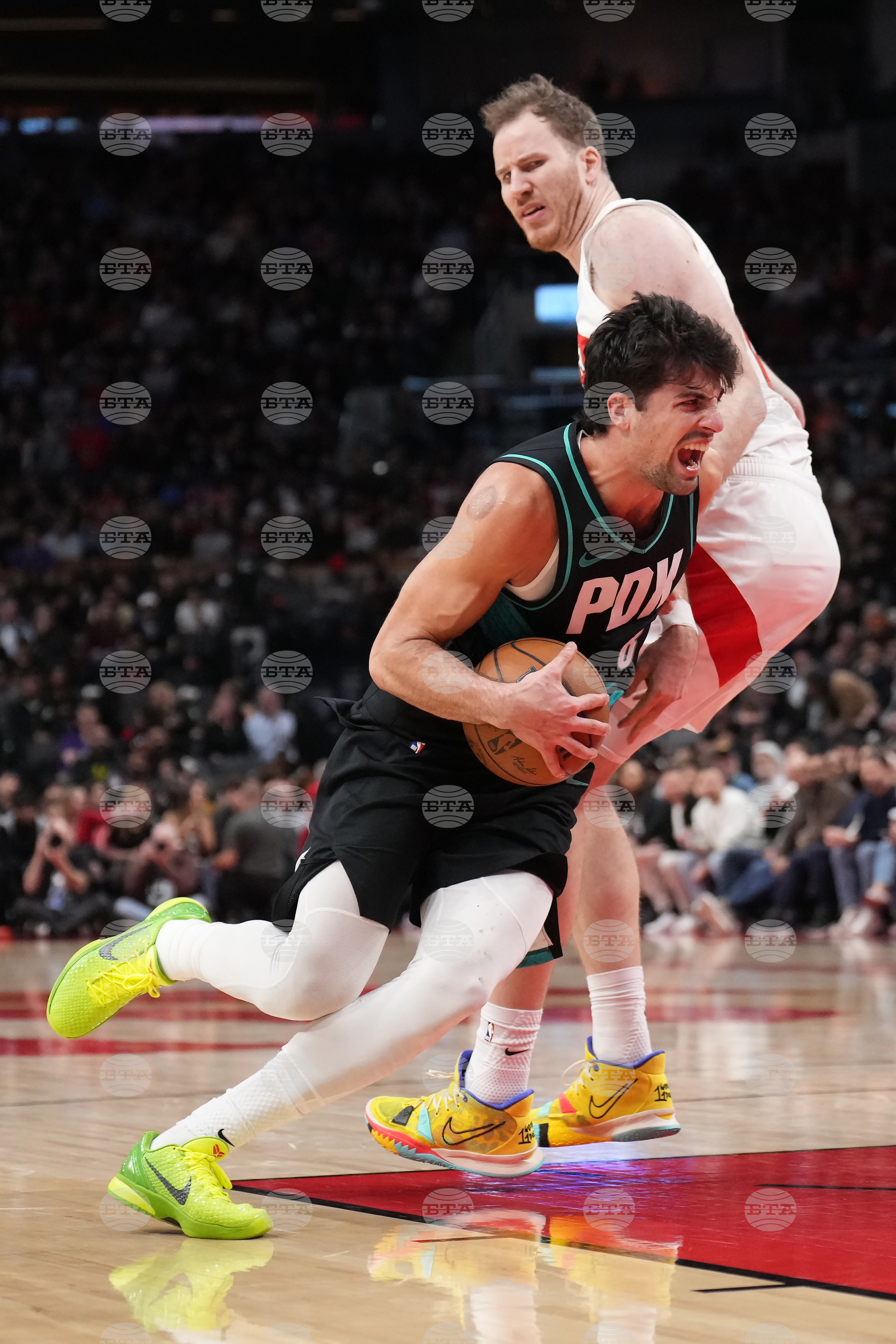 Trail Blazers Raptors Basketball