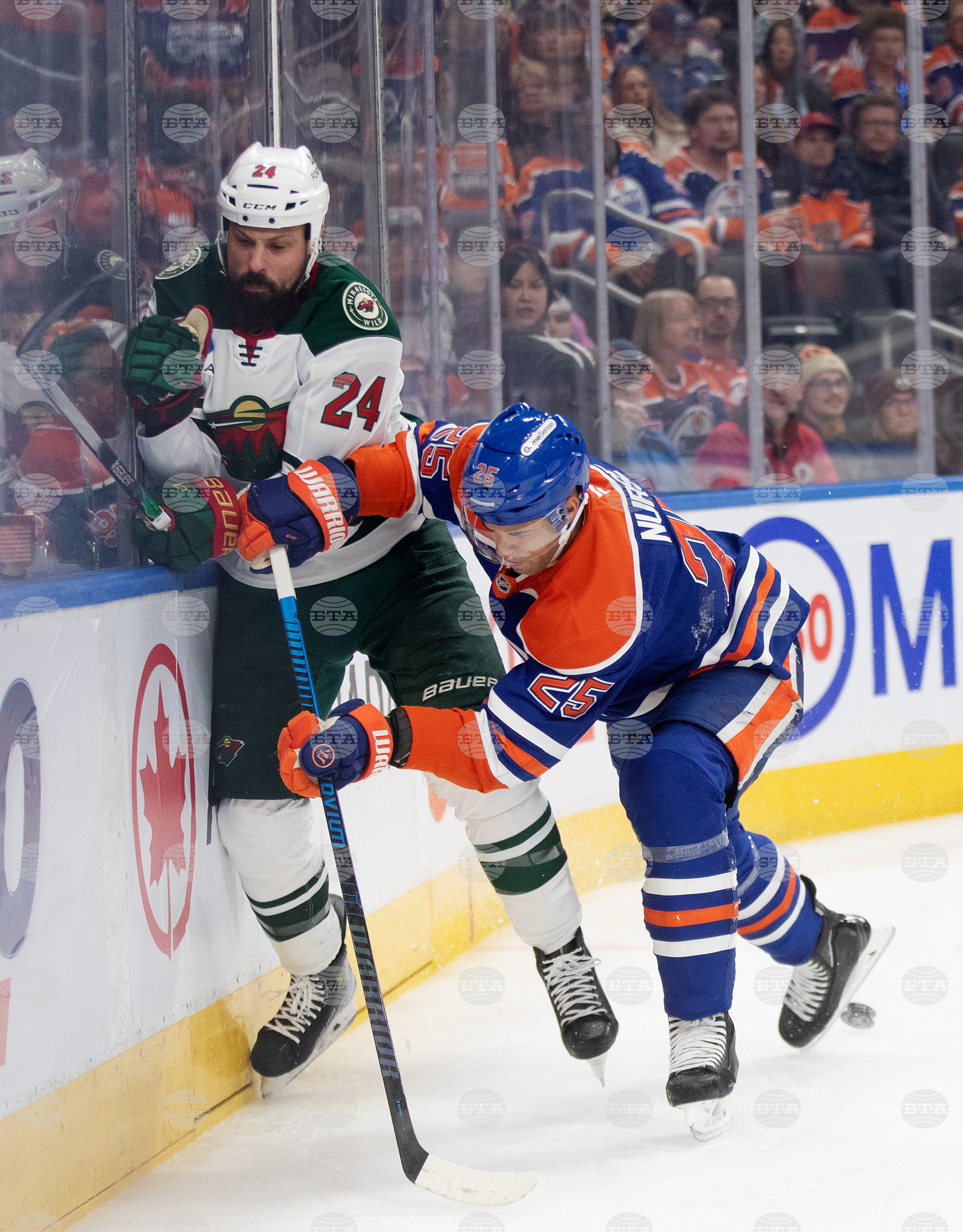 Wild Oilers Hockey