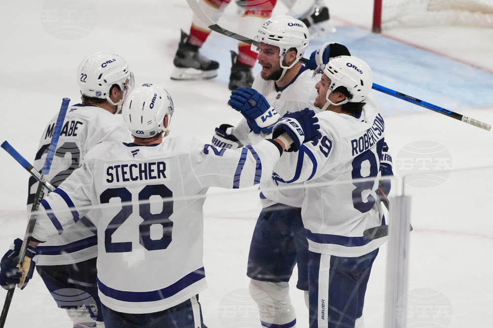 Maple Leafs Panthers Hockey