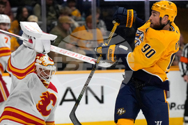 Flames Predators Hockey