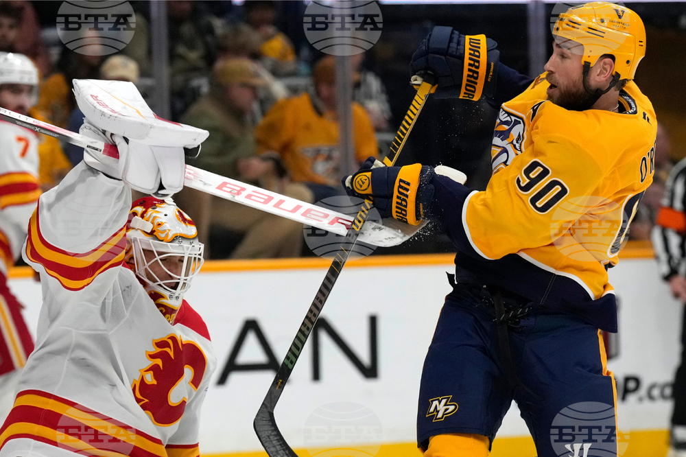 Flames Predators Hockey