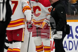 Flames Predators Hockey