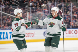 Wild Oilers Hockey