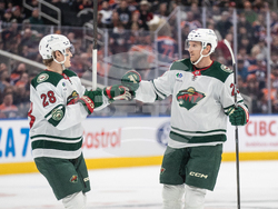 Wild Oilers Hockey
