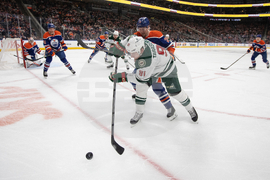 Wild Oilers Hockey