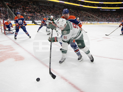 Wild Oilers Hockey