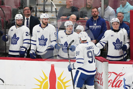 Maple Leafs Panthers Hockey