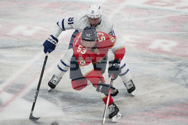 Maple Leafs Panthers Hockey