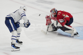 Maple Leafs Panthers Hockey