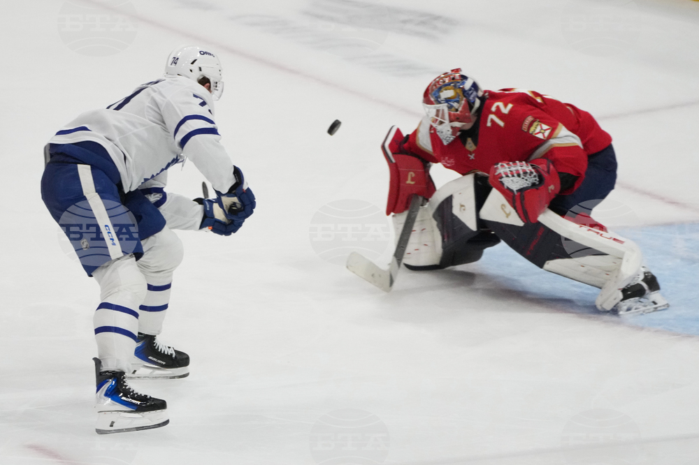 Maple Leafs Panthers Hockey