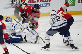 Maple Leafs Panthers Hockey