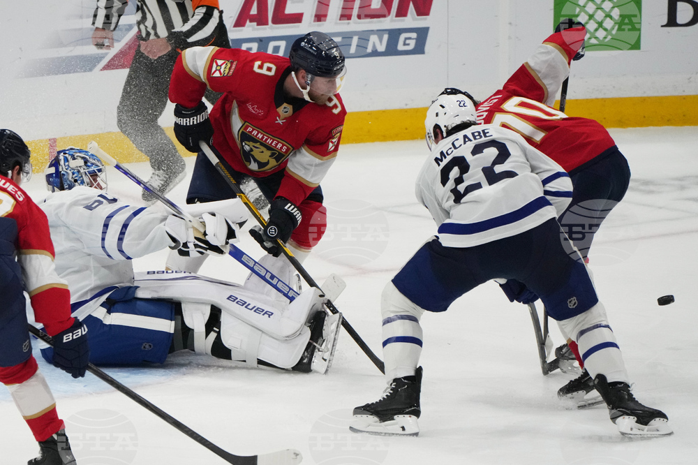 Maple Leafs Panthers Hockey