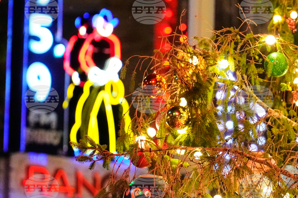 Texas Daily Life Holiday Lights