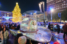 Texas Daily Life Holiday Lights