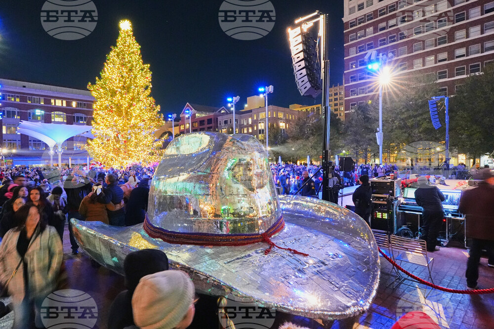 Texas Daily Life Holiday Lights