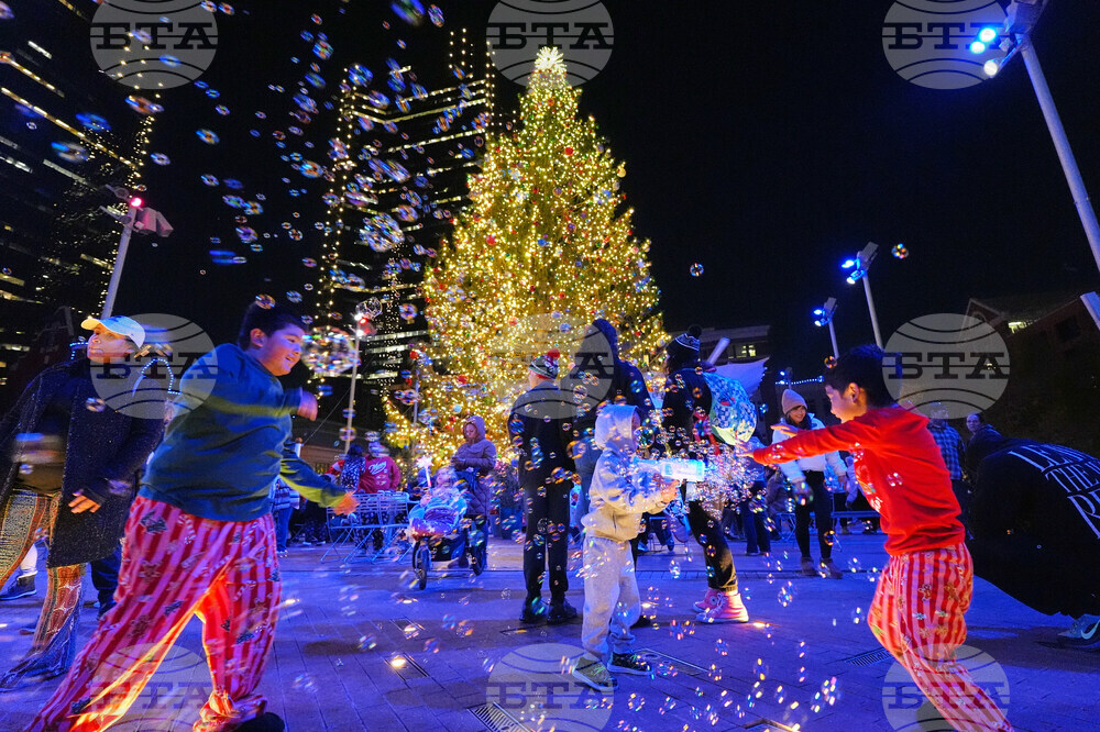 Texas Daily Life Holiday Lights