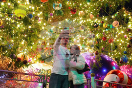 Texas Daily Life Holiday Lights