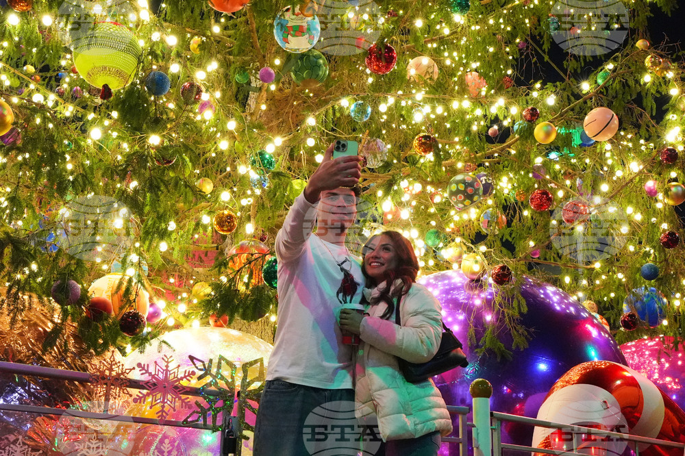 Texas Daily Life Holiday Lights