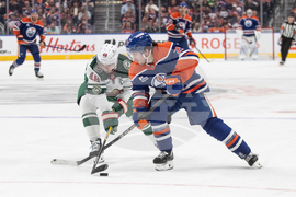 Wild Oilers Hockey