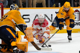 Flames Predators Hockey