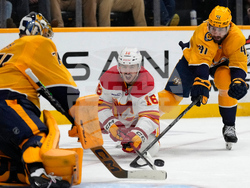 Flames Predators Hockey