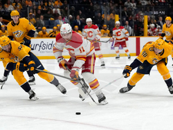Flames Predators Hockey