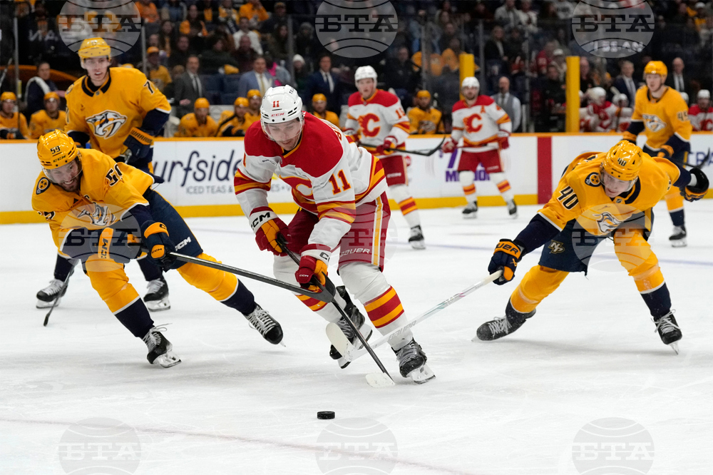 Flames Predators Hockey