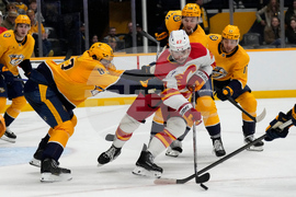 Flames Predators Hockey